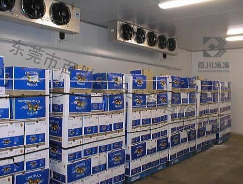 批發市場中小型水果冷庫